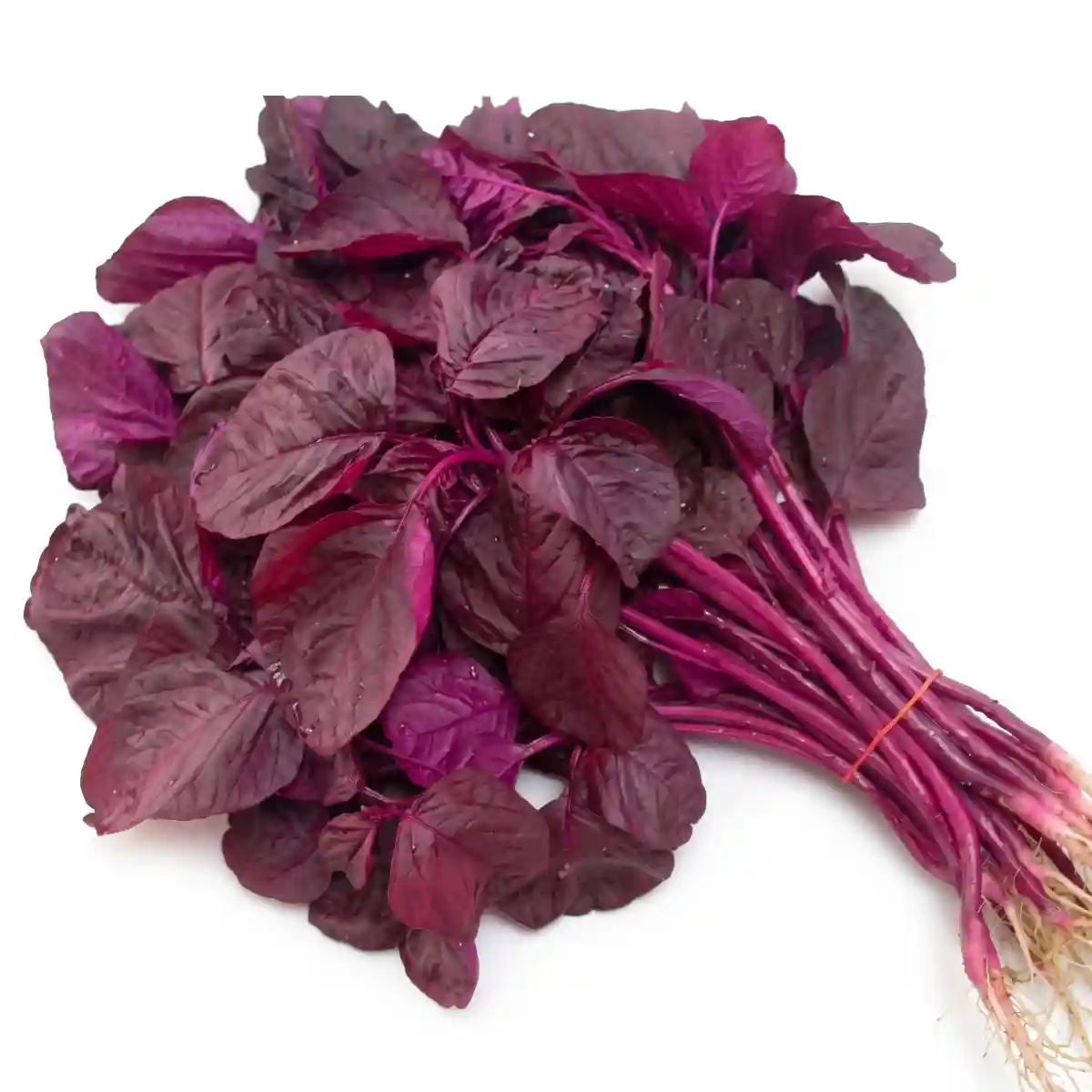 Red Amaranth (লাল শাক) 1 আটি