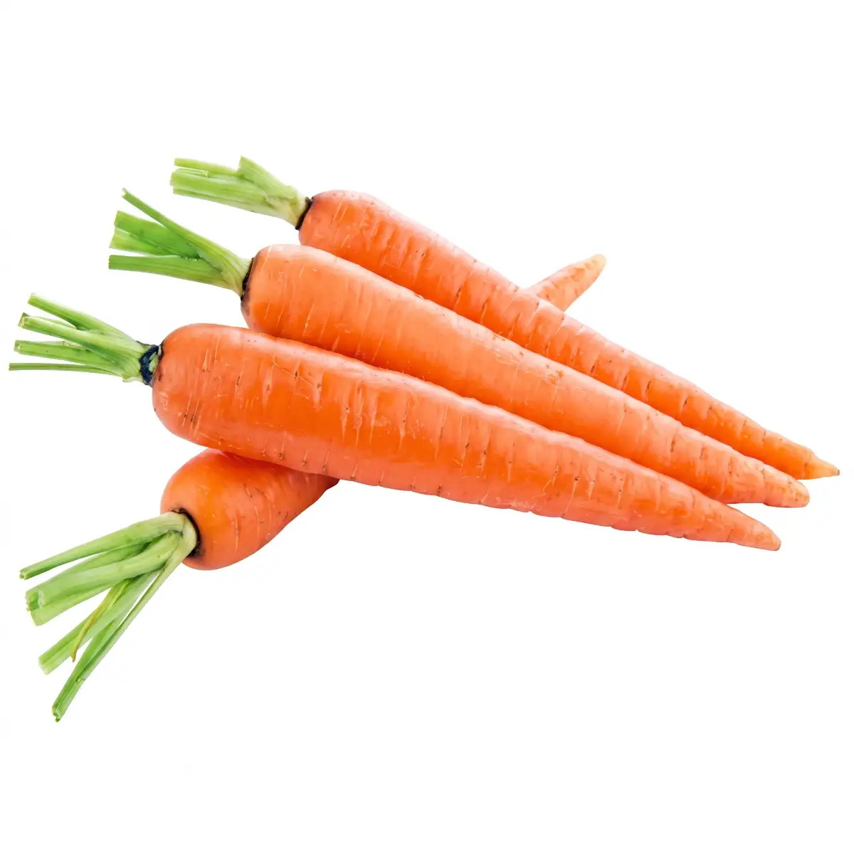 Carrot (গাজর) 1 kg