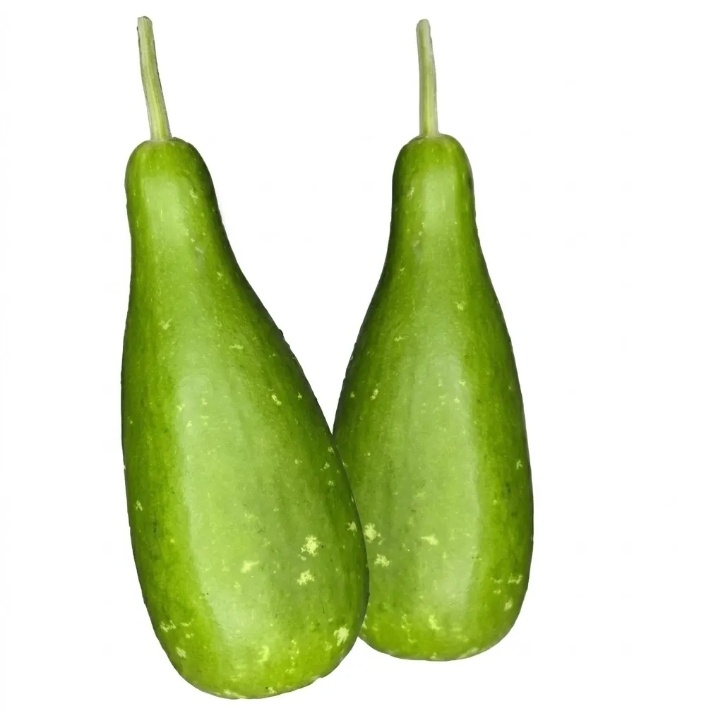 Bottle Gourd (লাউ) 1 Pices