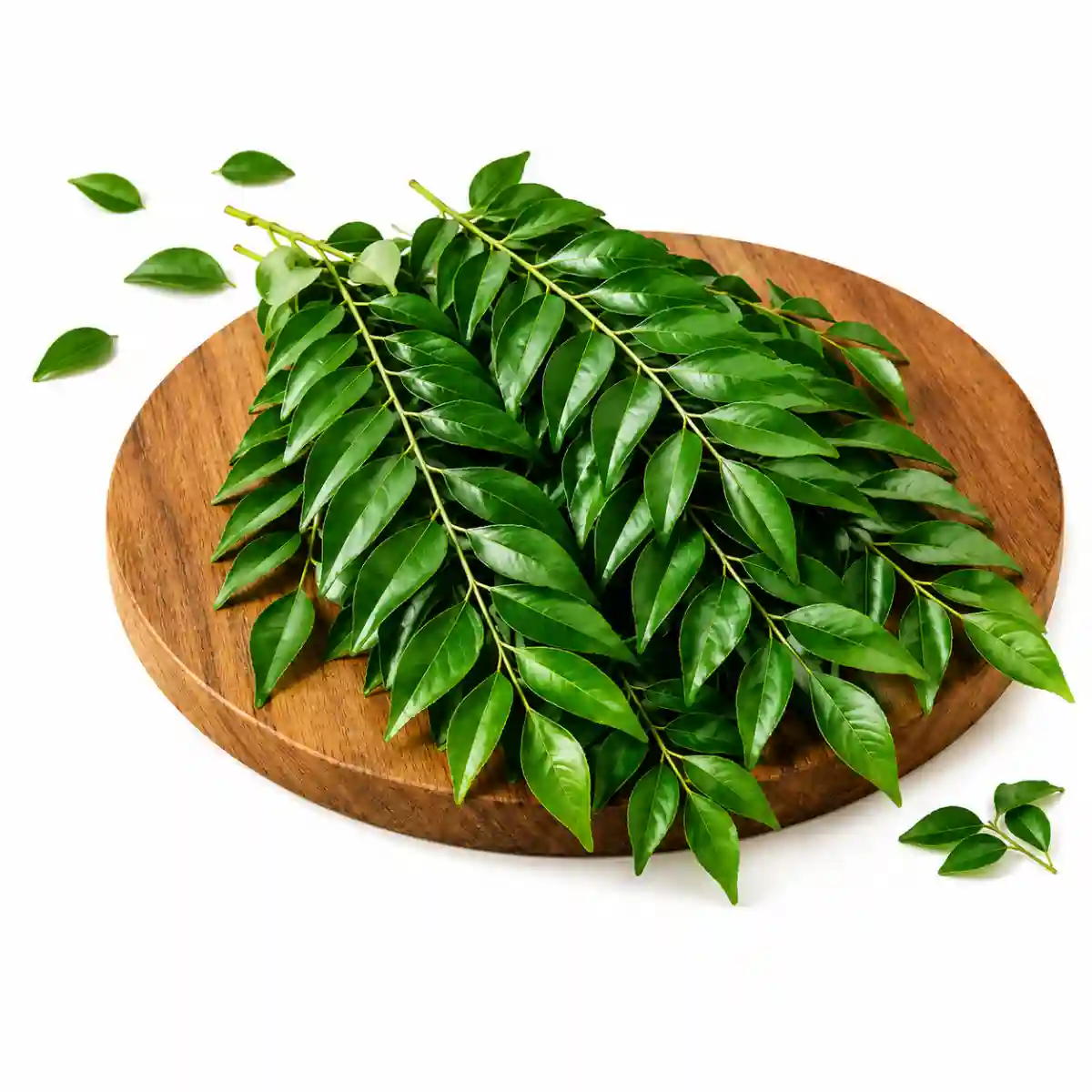 Curry Leaves (কারিপাতা) 1 আটি