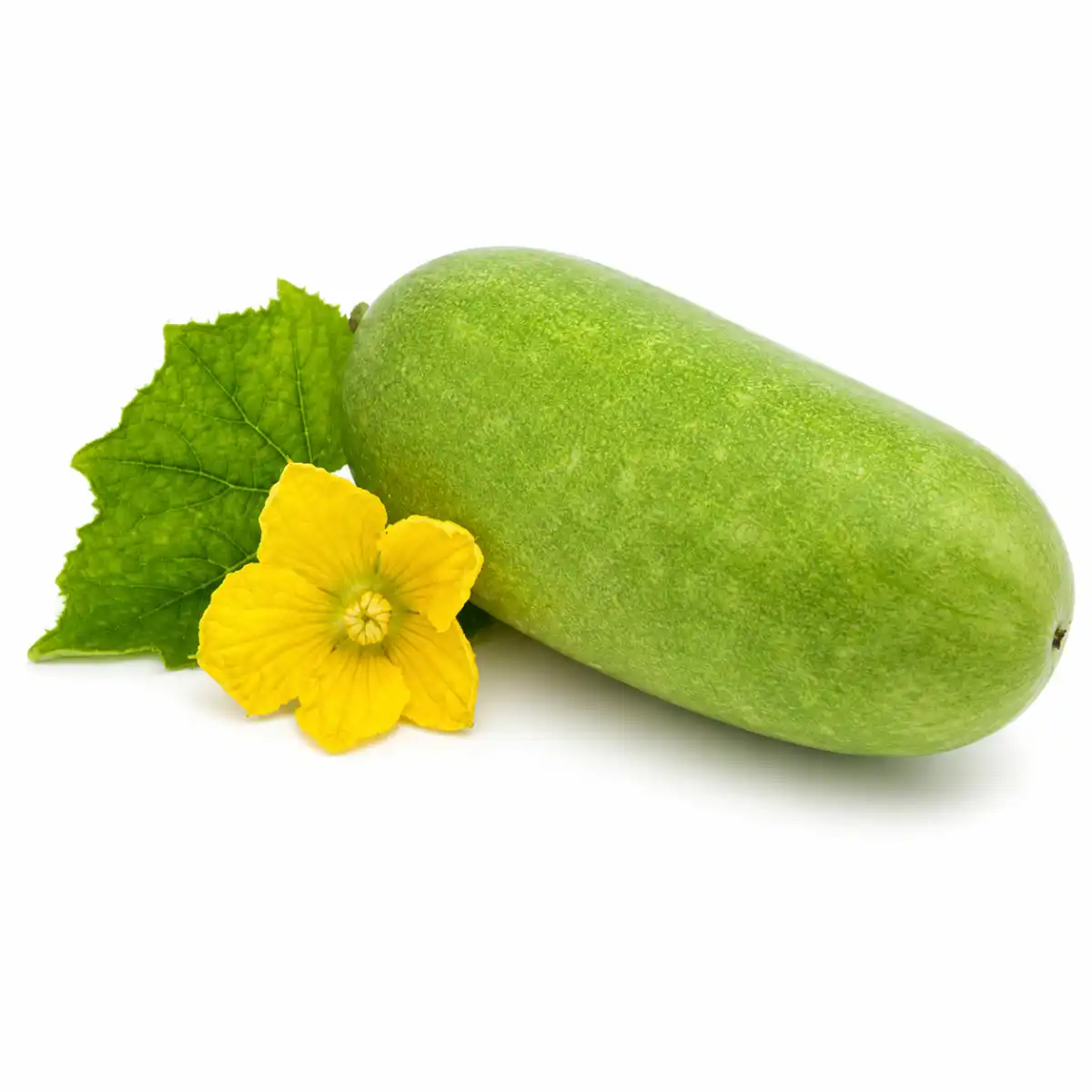 Ash Gourd (চাল কুমড়া) 1 kg