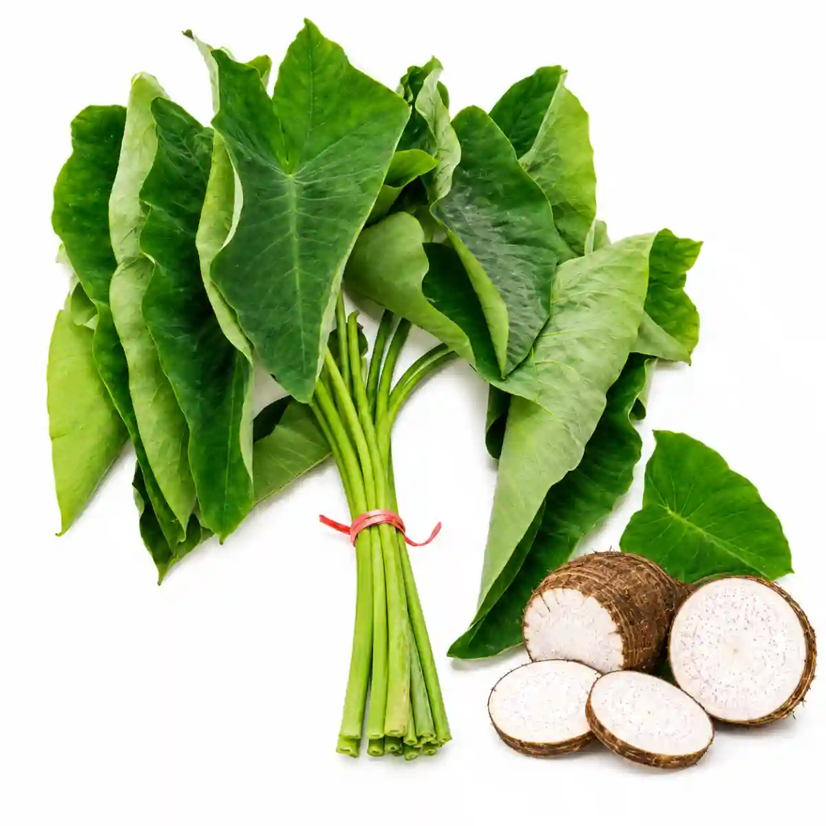 Taro (কচু) 1 আটি