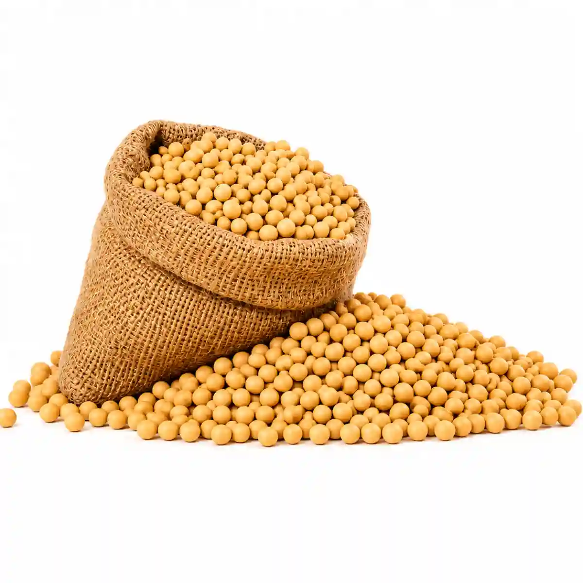 Soybean (সয়াবিন) 1 kg