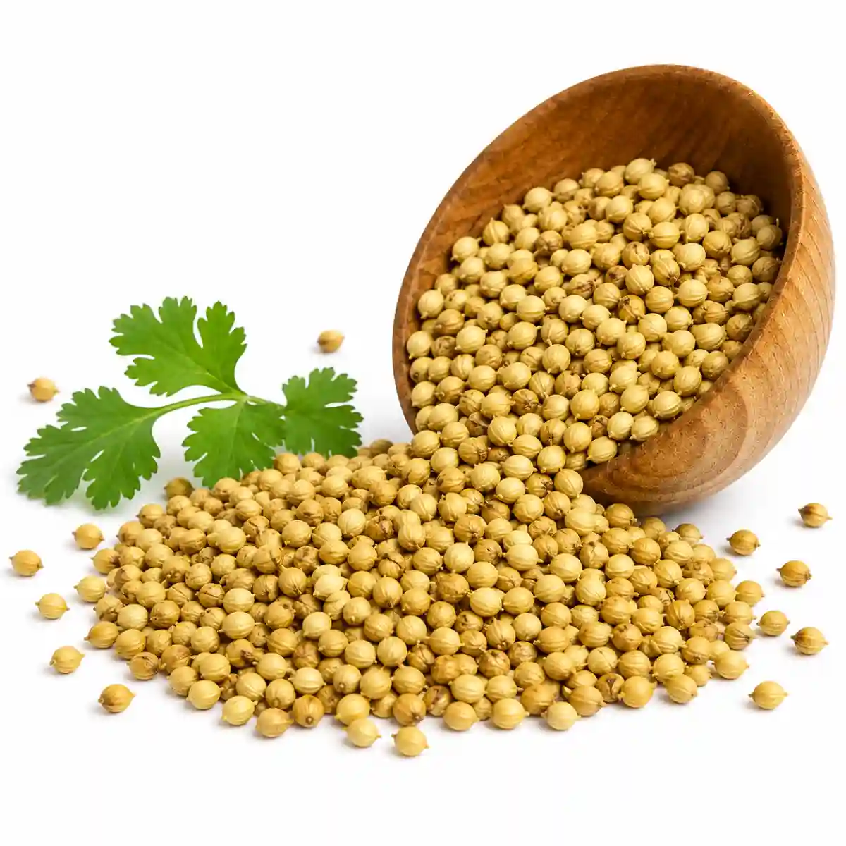 Coriander (ধনিয়া) 100 Gm