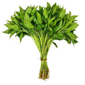 Pat Shak — পাট শাক  1 আঁটি